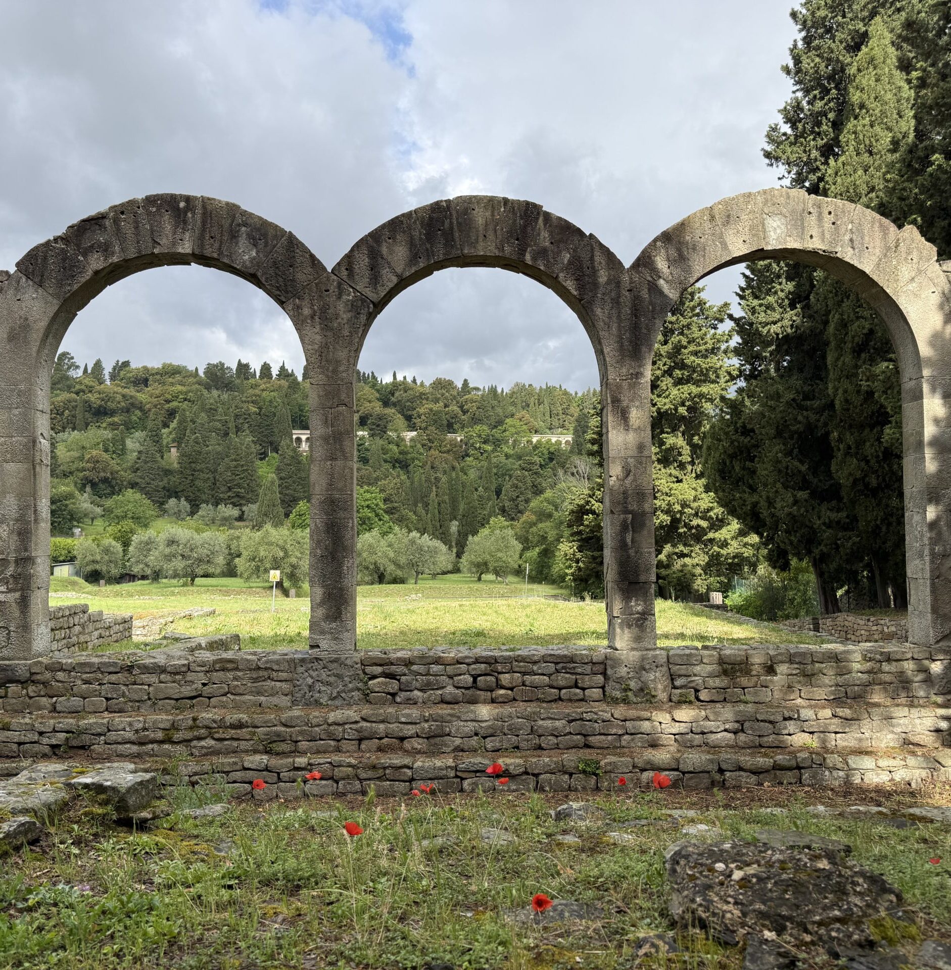 Fiesole_frigidarium